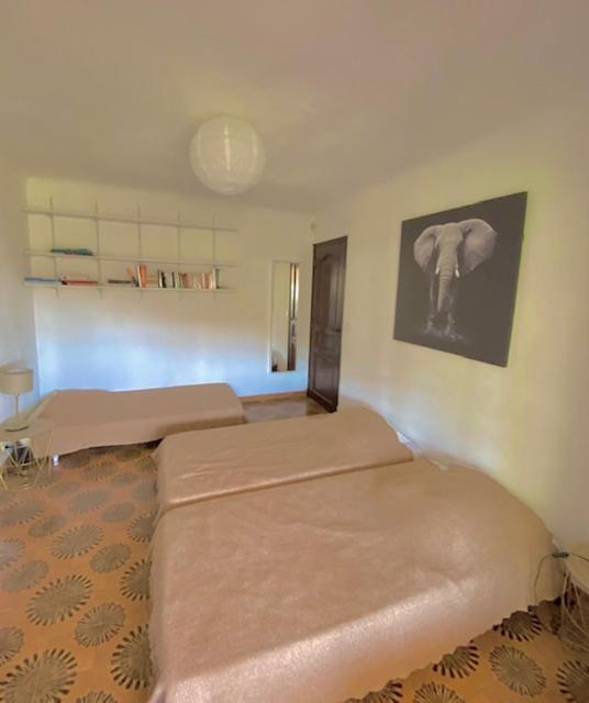 Entre Nice Et Monaco Grande Villa Avec Piscine Privee 12 Personnes Drap Exterior foto