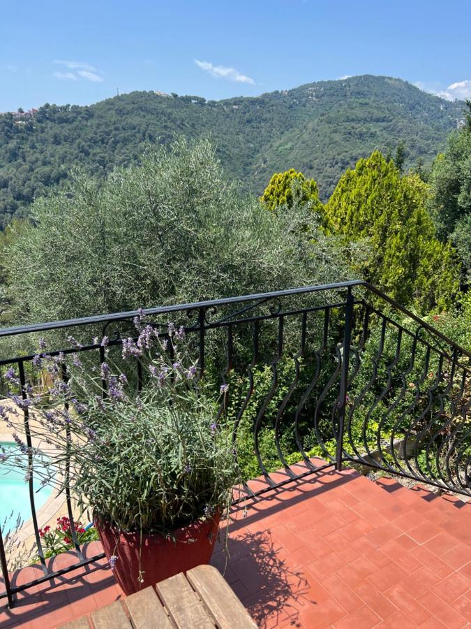 Entre Nice Et Monaco Grande Villa Avec Piscine Privee 12 Personnes Drap Exterior foto